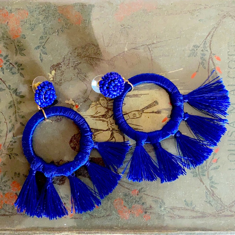 Navy Tasseled Earrings